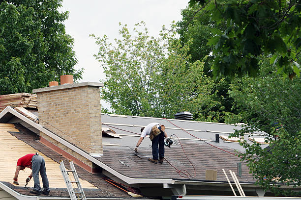 Best Roof Gutter Cleaning  in Tyndall, SD