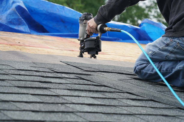 Best Roof Leak Repair  in Tyndall, SD