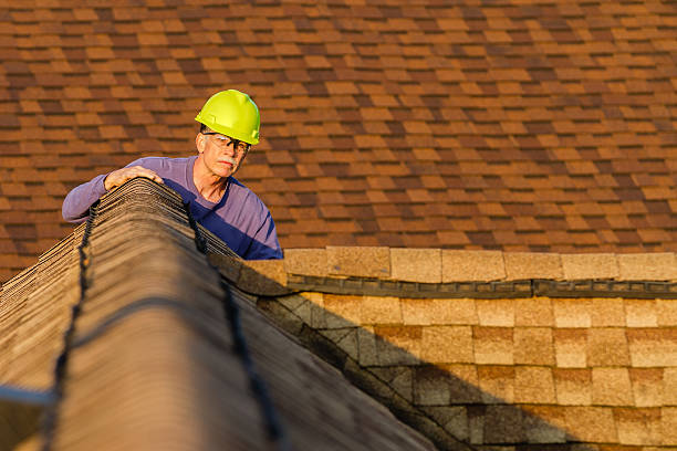Best Roof Replacement Cost  in Tyndall, SD